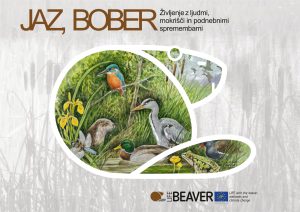 Naslovnica Jaz, bober