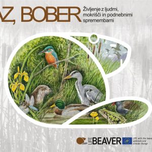 Naslovnica Jaz, bober