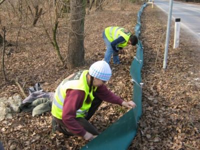 S skupnimi močmi smo postavili 900 metrov ograje.