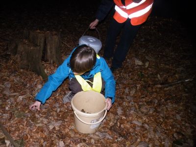 Pri večernem prenašanju so pomagali tudi otroci.