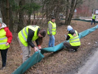 V akciji "Dvoživke na Večni poti" smo sodelovali tudi v letu 2012.