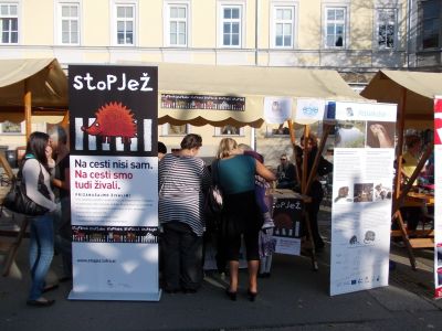 Projekt STOPJEŽ smo predstavili na različnih dogodkih, tudi na radiu in v časopisih (na sliki stojnica na dogodku ob Tednu otroka).