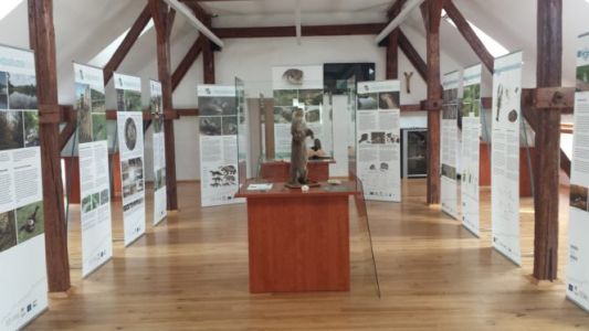 V sklopu Bioblitza sta bili v centru DUO v Veržeju tekom celega poletja na ogled razstava Aqualutra in Aquaviva.