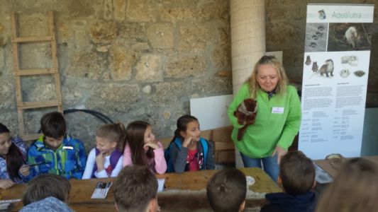 Iz savskih brzic smo se preselili ob Sočo in otroke na Eko dnevu spoznavali z vidro in ozaveščali o pomenu ohranjanja celinskih vodnih ekosistemov ter pitne vode.