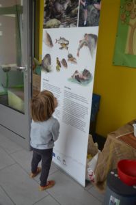 Delavnica o pestrosti živega sveta v vrtcu Gorišnica na proslavi podpisa Eko listine.