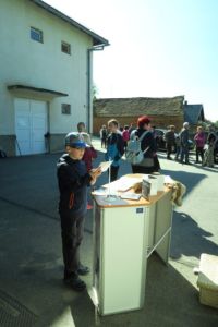 Teh se udeležuje vedno večje število otrok ...