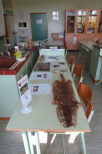 Delavnica Živa voda za 7. razrede OŠ Kuzma.