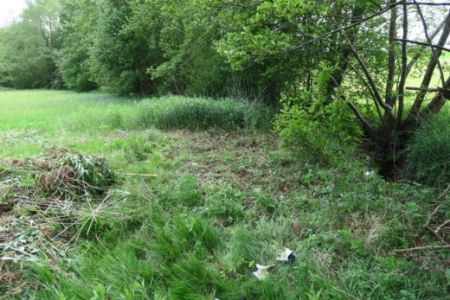 Ob potoku Mala Krka smo izvedli večkratno puljenje invazivne zlate rozge in naredili korak do obnovitve kvalifikacijskega habitatnega tipa 91E0*.