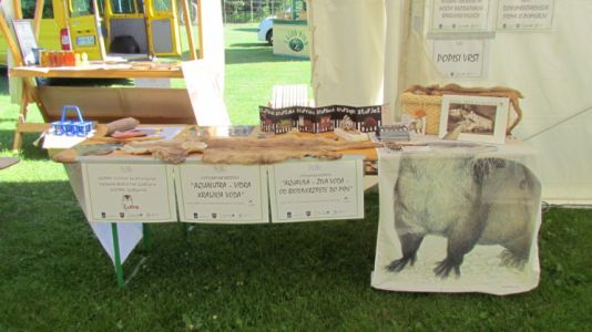 Ponovno smo sodelovali na Bioblitzu - "24 ur z reko Muro".