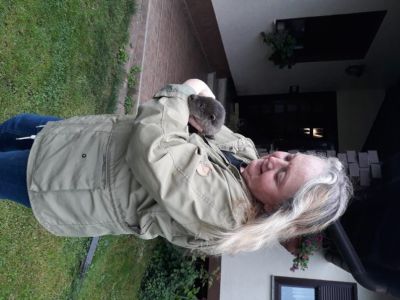 Spomladi 2018 smo prvič začeli skrbeti za živo vidro, našega Waldna. Že naslednjo pomlad je začutil, da sodi v naravo in se samovoljno podal nazaj domov.