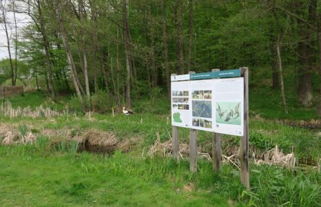 Okrog centra je vse živo.