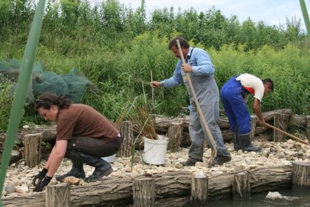 ERM smo zgradili na iztoku Ledavskega jezera, z visoko stopnjo evtrofikacije.