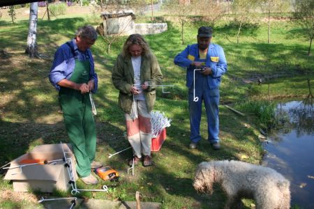 Vidra v času zime redno obiskuje lokalne ribnike. Dva ribnika smo zaradi problematike iztrebljanja rib ogradili z električno ograjo in dokazali ustreznost zaščitnih ukrepov.