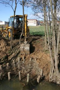 Vrbovi popleti preprečujejo erozijo rečnih brežin in so hkrati pomemben življenjski prostor za vodne in obvodne živali (Gornji Petrovci).