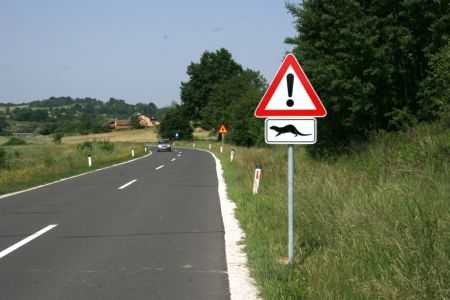 Prometni znaki opozarjajo voznike na večjo previdnost pri nočni vožnji v izogib povozu vidre.