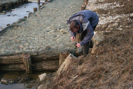 Vidrine iztrebke smo analizirali z DNA "fingerprinting" določevalno metodo in ugotavljali število različnih osebkov na projektnem območju.