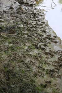 Vse potrjene znake smo tudi skrbno fotografirali.