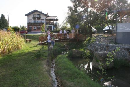 Obrežje potoka smo zasadili z rastlinjem.