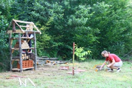 Projekt Aqualutra: hotel za žuželke, ki je podlegel zaradi podiranja bolnega drevesa v gozdu.