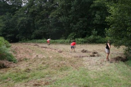 Tako kot včasih ...