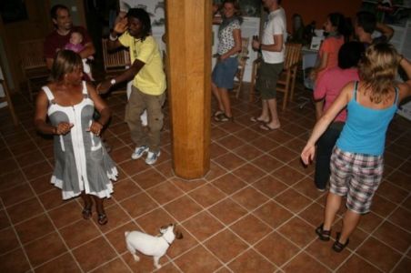 Dogodki v vidrinem centru so zabavni, naši gostje pa razpoloženi.