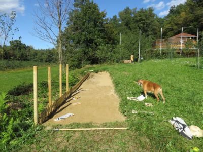 Obnovitev skakalne steze poleti 2018.