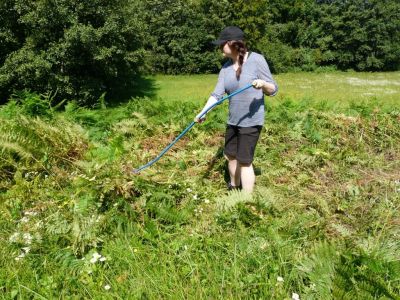 V centru izvajamo sonaravno košnjo - s koso in srpom.