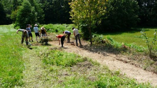 Urejanje zarasle skakalne steze je zahtevalo več rok.