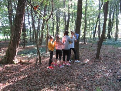 Podporna funkcija gozda se lahko razume tudi tako ...