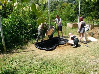 Postavili smo ribnik z makrofiti, ki prikazuje izboljšanje samočistilnih sposobnosti stoječih voda.